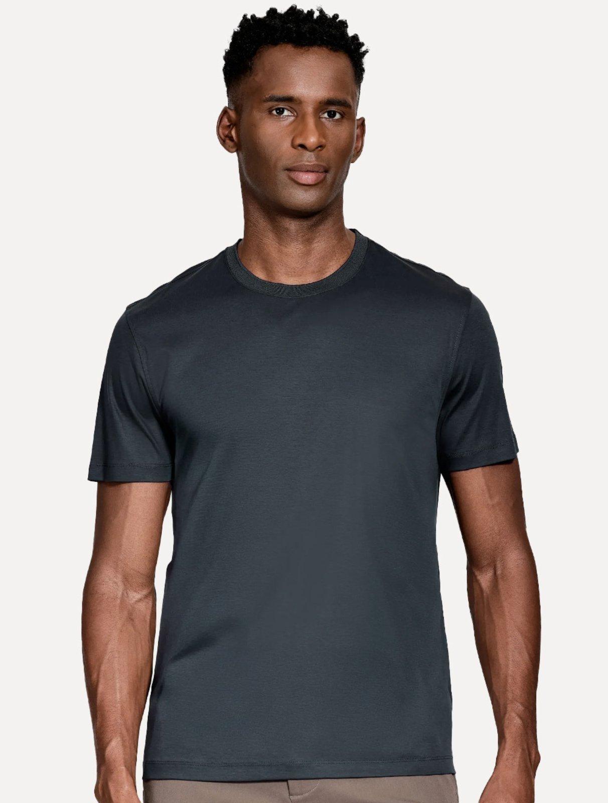 Camiseta Aramis Masculina Basic Silk Blend Modal Azul Marinho