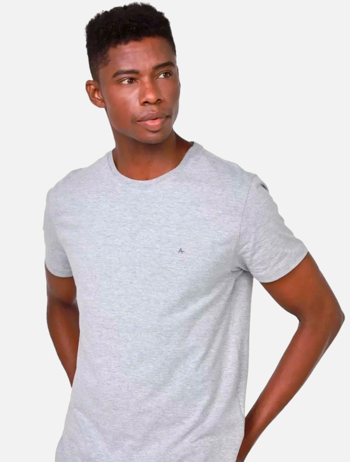 Camiseta Aramis Masculina Regular Malha Fio a Fio Mescla Cinza Claro