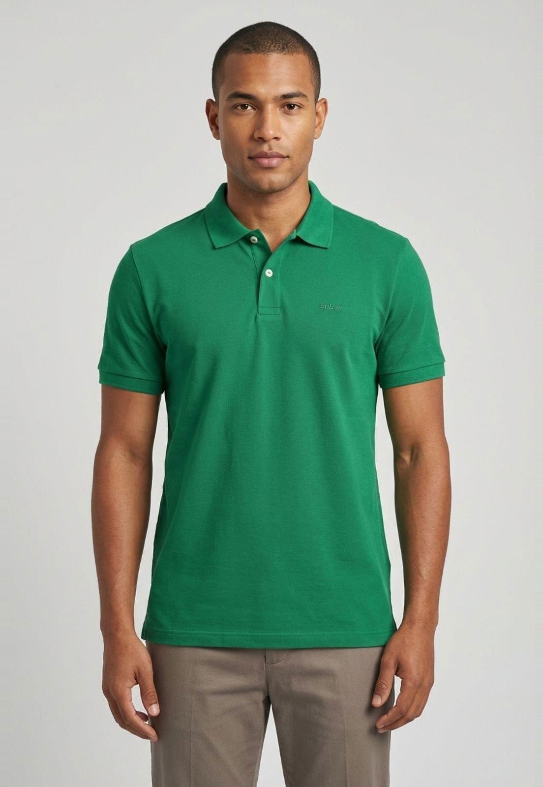 Camiseta Polo Masculina Colcci Gola Tradicional Verde
