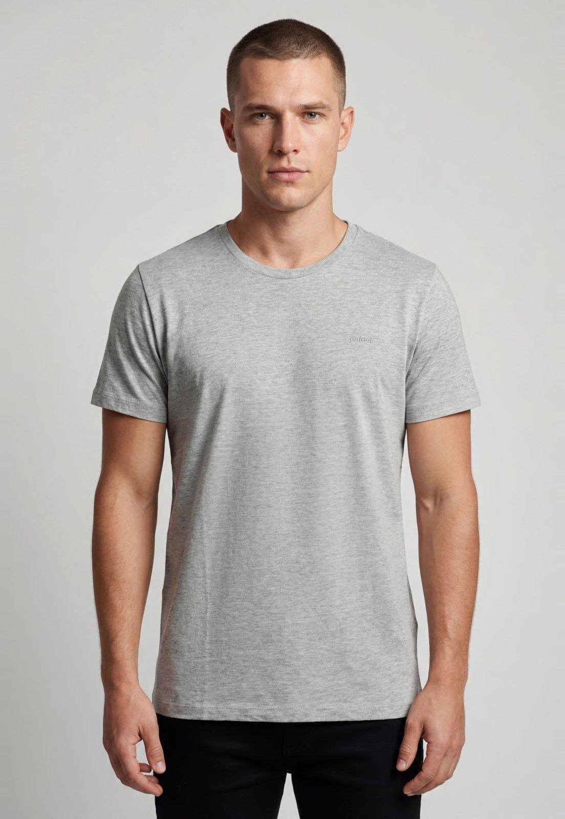 Camiseta Masculina Colcci Logo Bordado Cinza