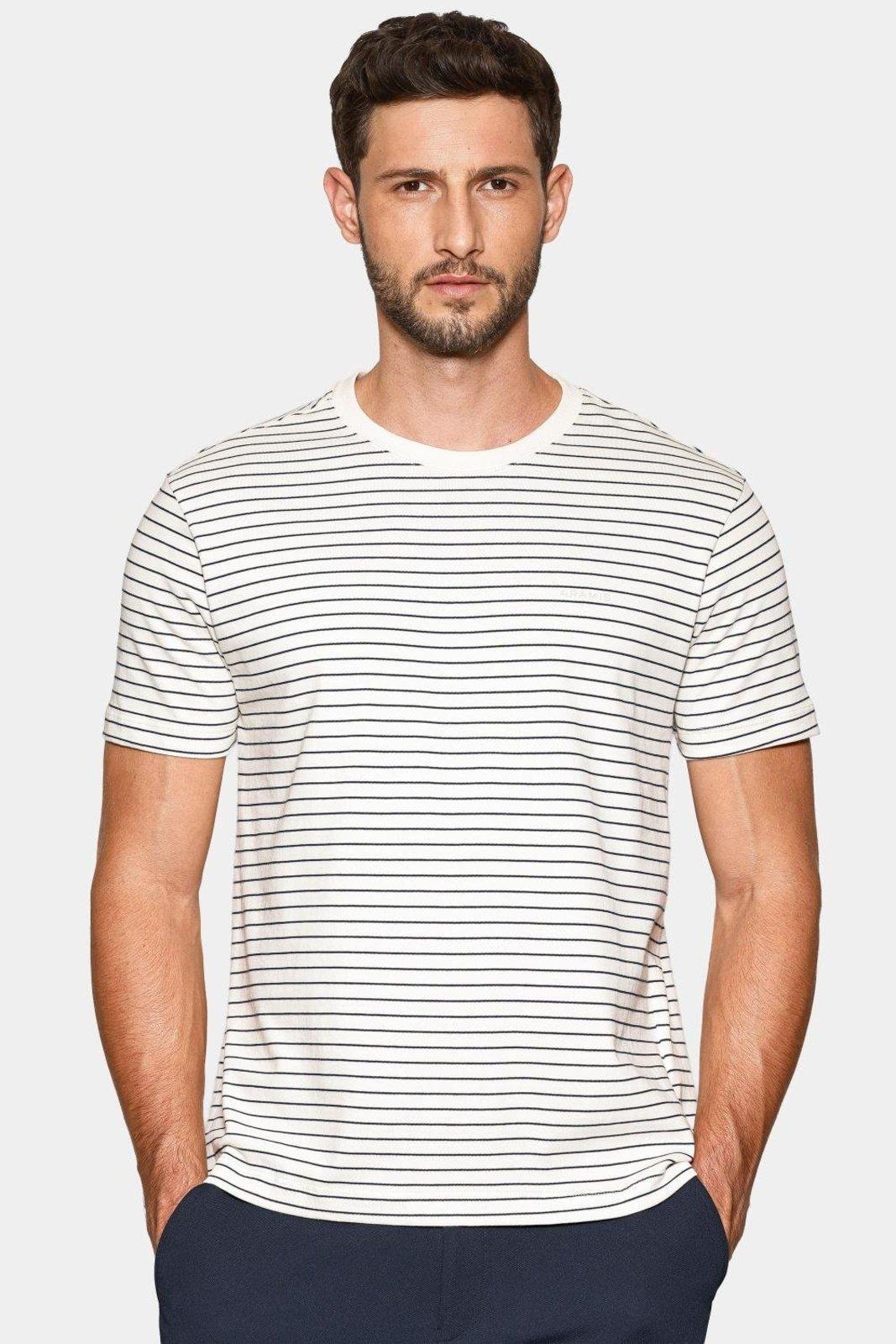 Camiseta Aramis Manga Curta Listras Básica