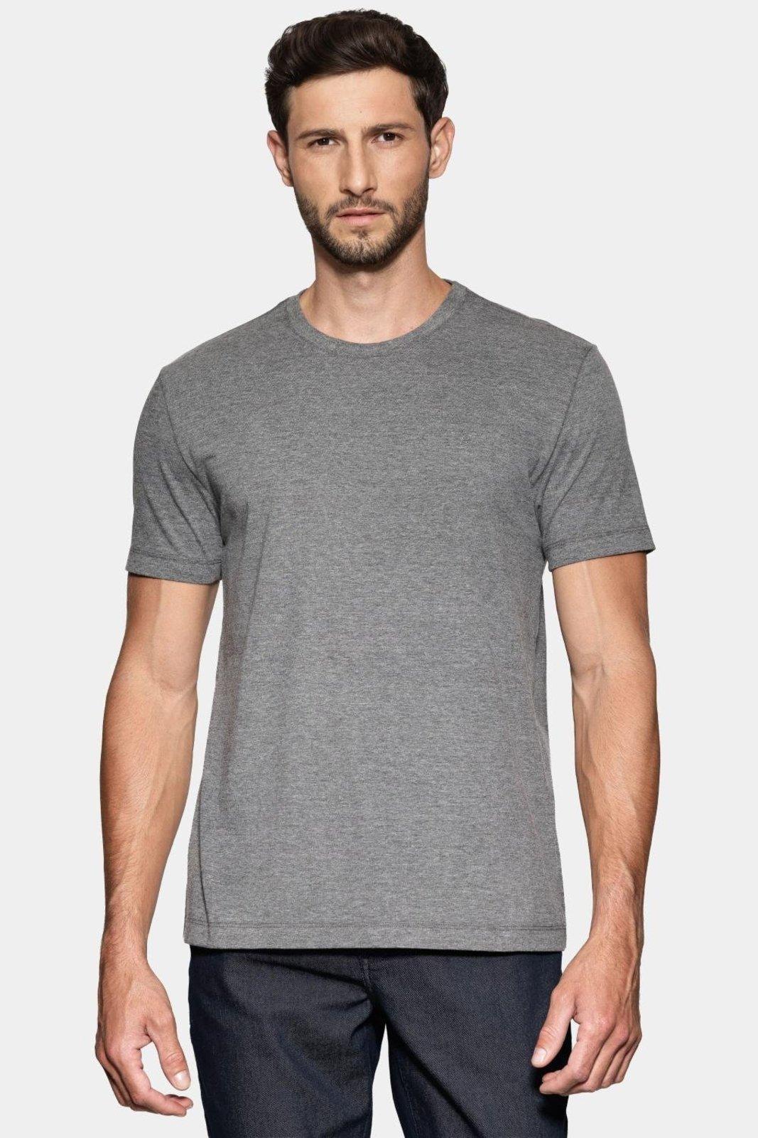 Camiseta Aramis Manga Curta New Basic Grafite Mescla